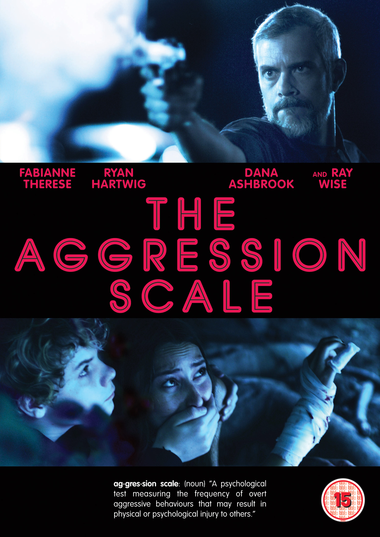 The Aggression Scale