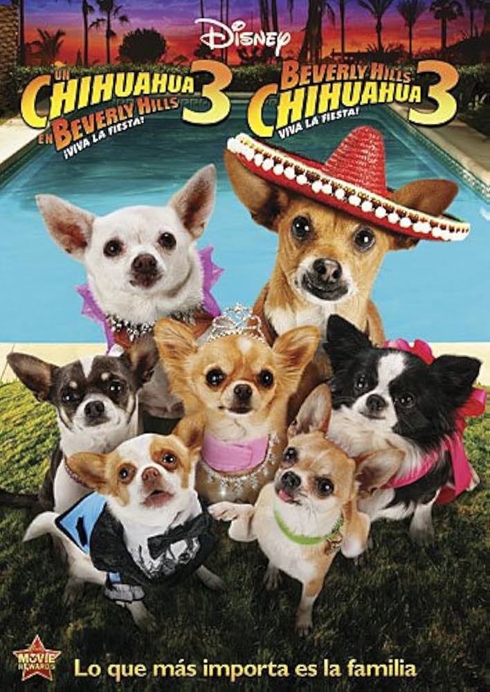 Chihuahua 3