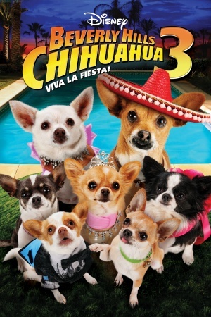 Chihuahua 3