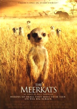 The Meerkats