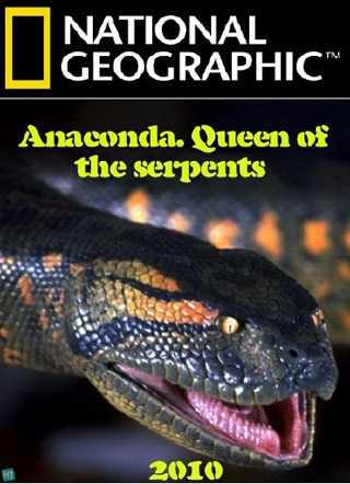 Queen Of The Serpents