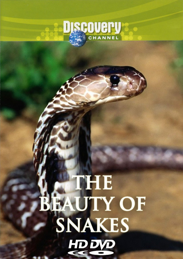 The Beauty Of Snakes