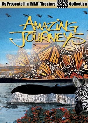 Amazing Journeys