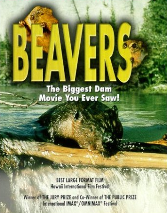 Beavers