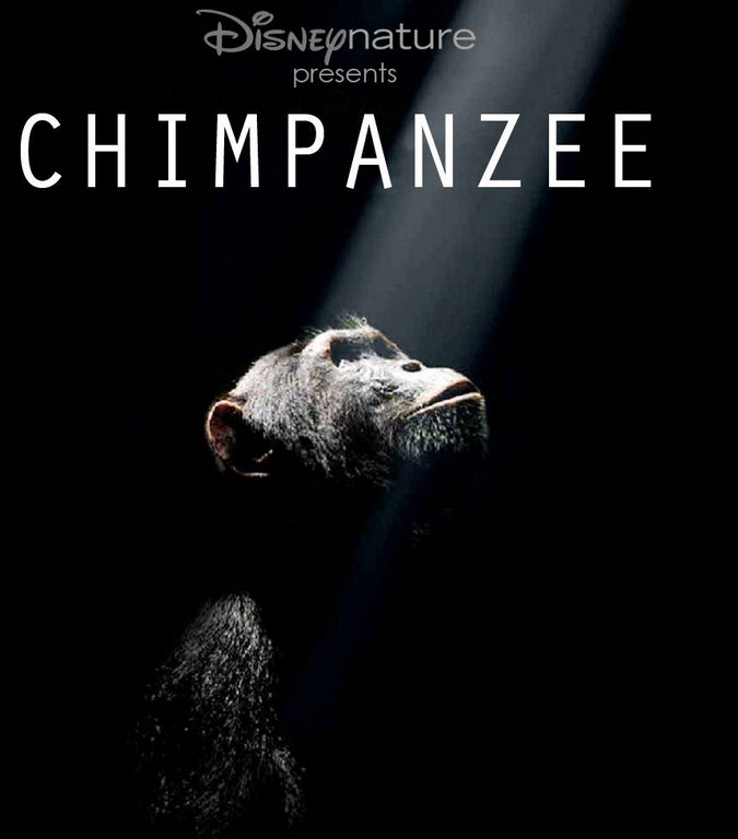 Chimpanzee