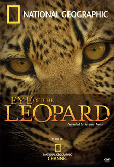 Eye of the Leopard