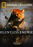 Relentless Enemies