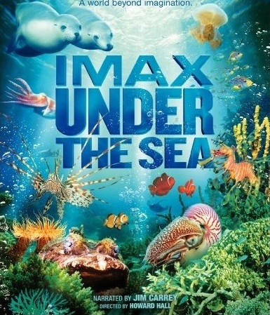 Under The Sea