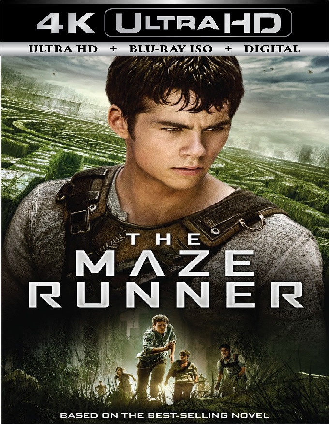 The Maze Runner