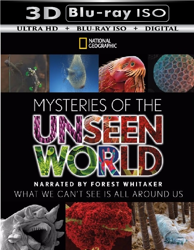 Mysteries of the Unseen