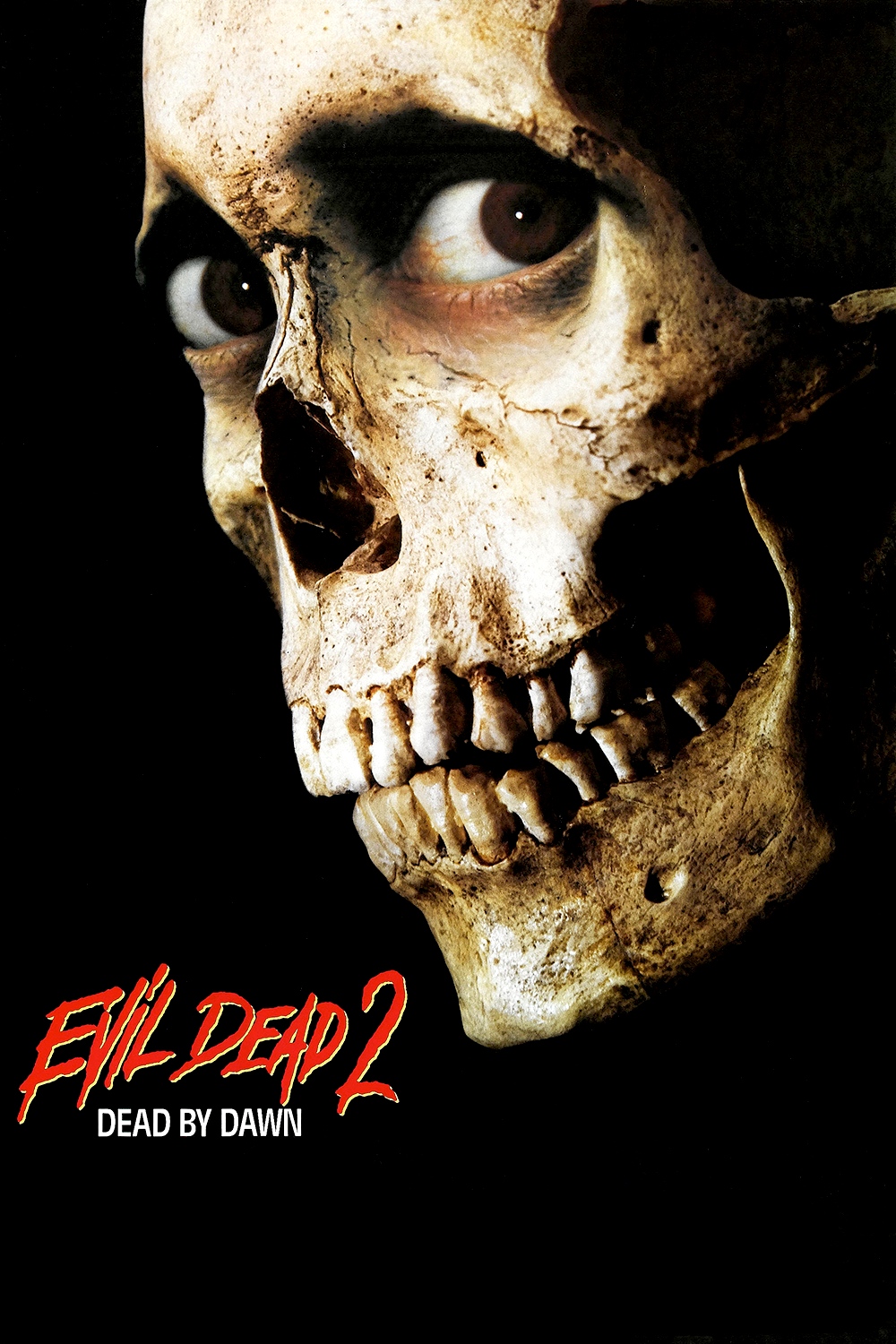 The Evil Dead 2