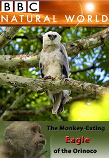 The Monkey Eating ...