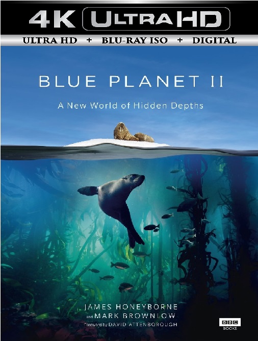 Blue Planet 2