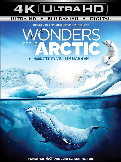 Wonders of the Arctic