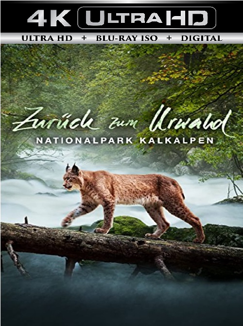 Zurück zum Urwald