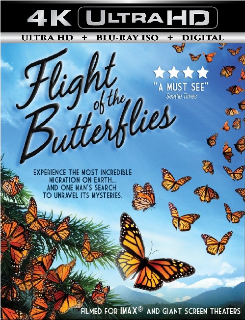 Flight of the Butterflies