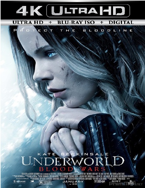 Underworld 5