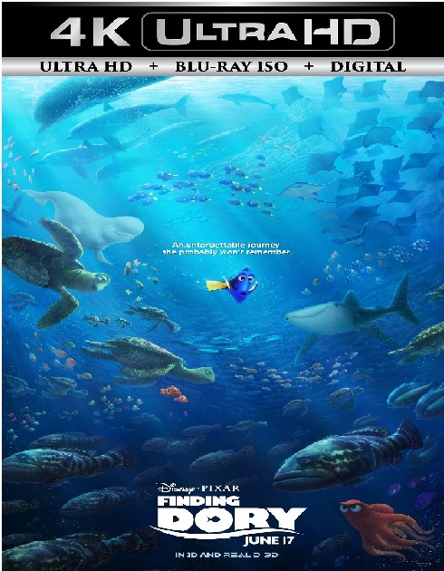 Finding Nemo 2