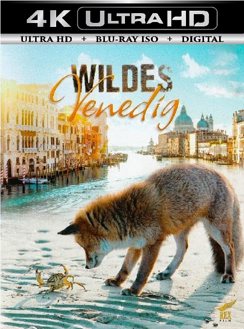 Wild Venice