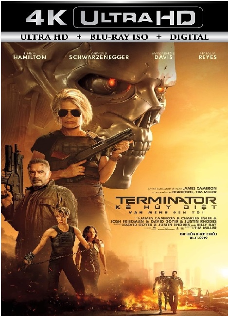 Terminator 6