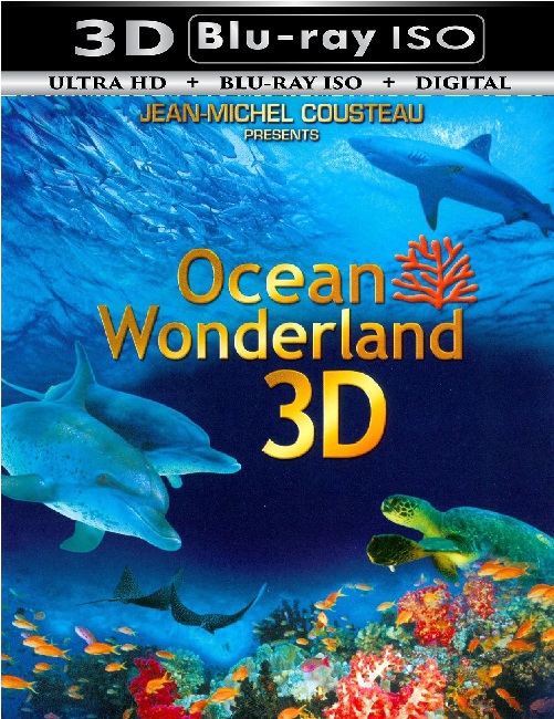 Ocean Wonderland