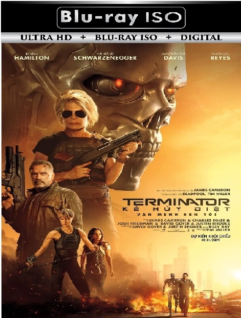 Terminator 6