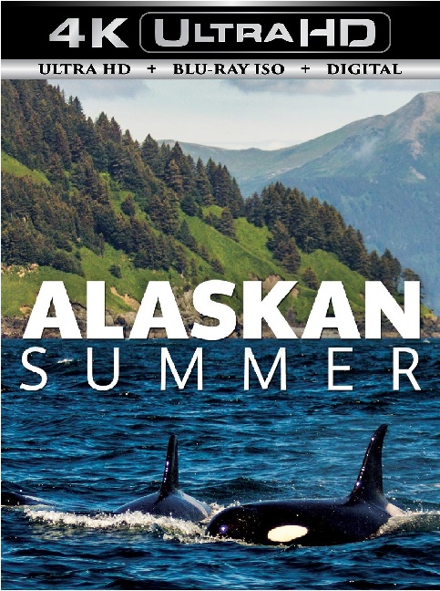 Alaskan Summer