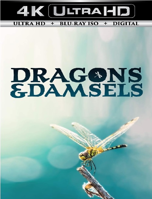 Dragons and Damsels