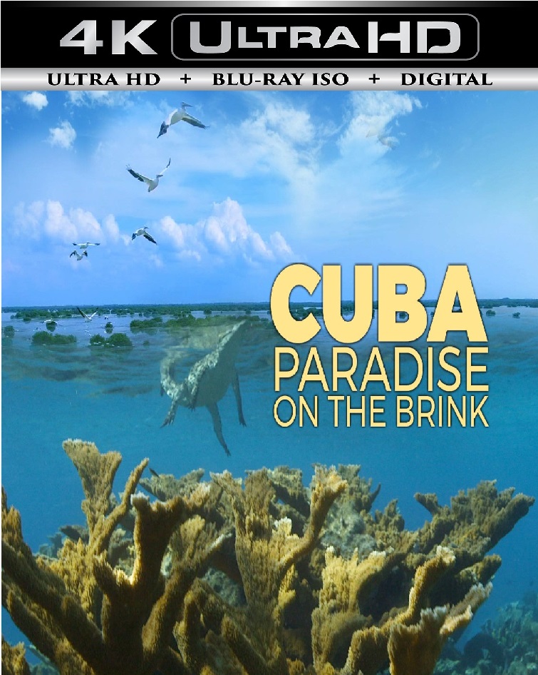 Cuba ! A Paradise ...