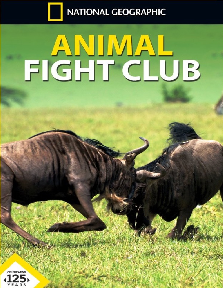 Animal Fight Night