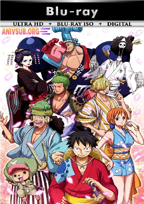 One Piece 16