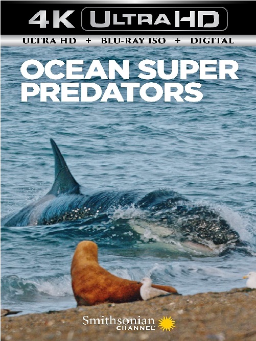 Ocean Super Predators