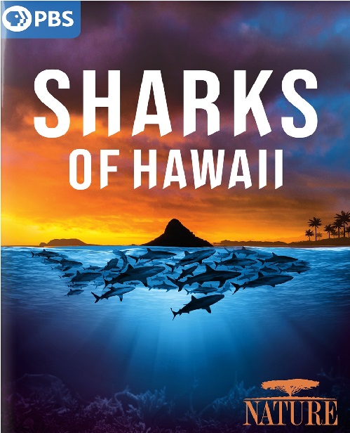 Nature Sharks of Hawaii