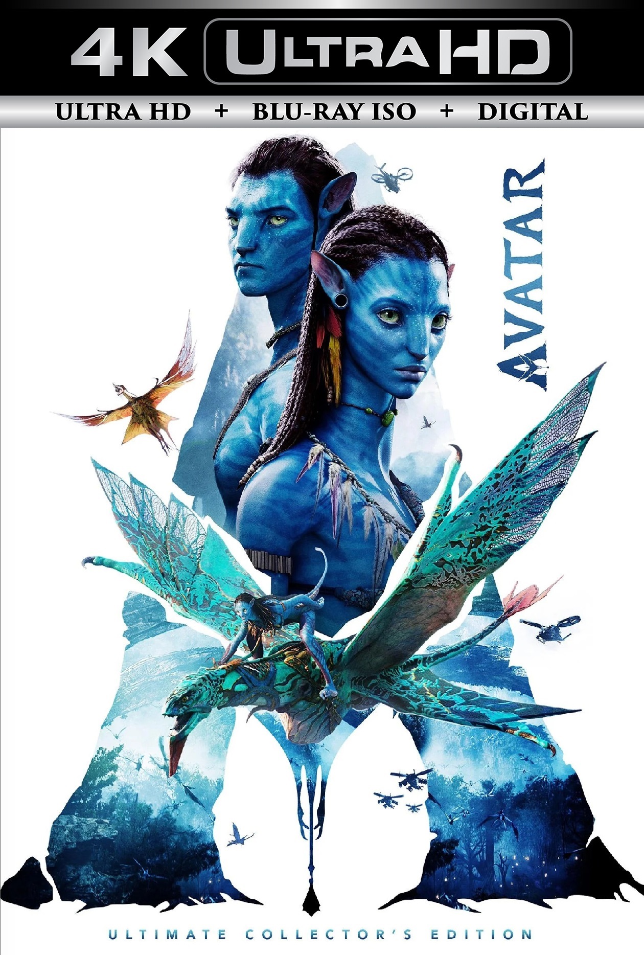 Avatar