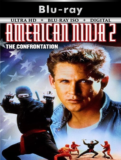 American Ninja 2
