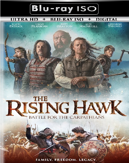 The Rising Hawk