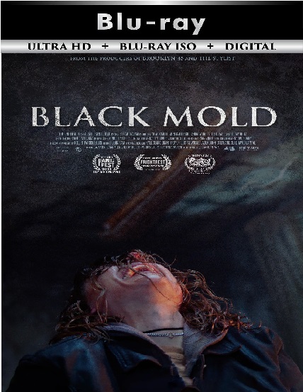 Black Mold