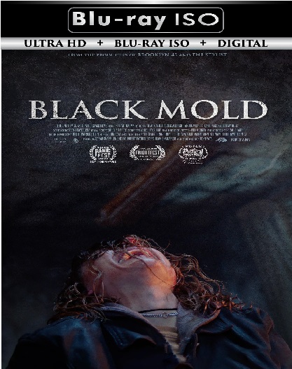 Black Mold