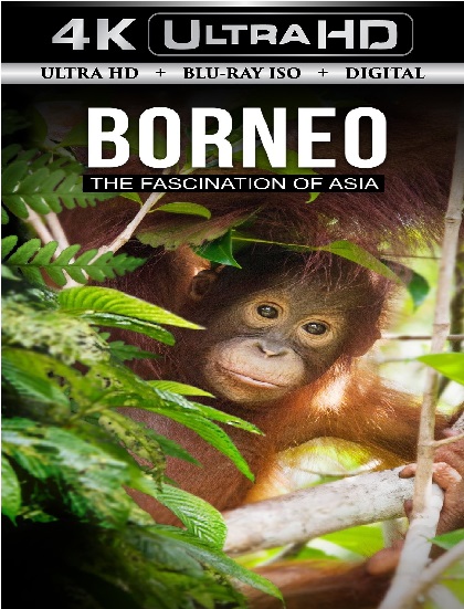 Borneo The ...