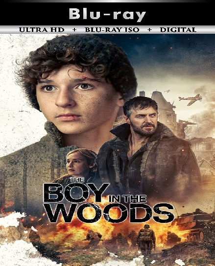 The Boy in the Woods