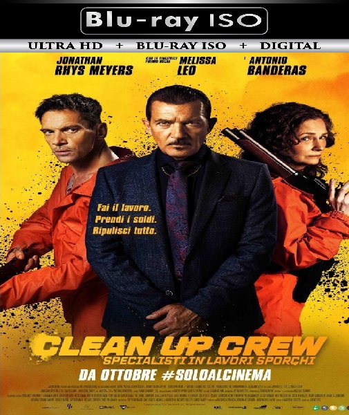 The Clean Up Crew