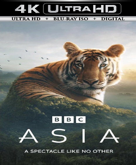 BBC Asia