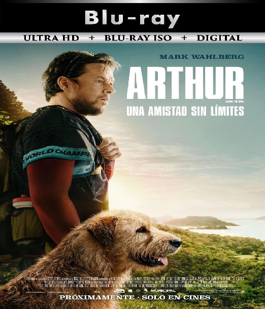 Arthur The King