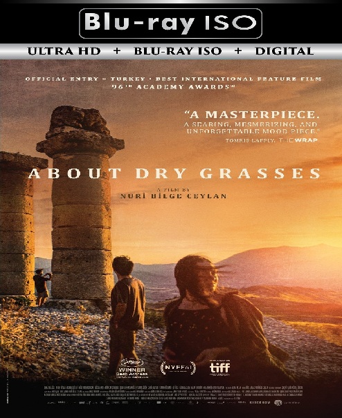 About Dry Grasses