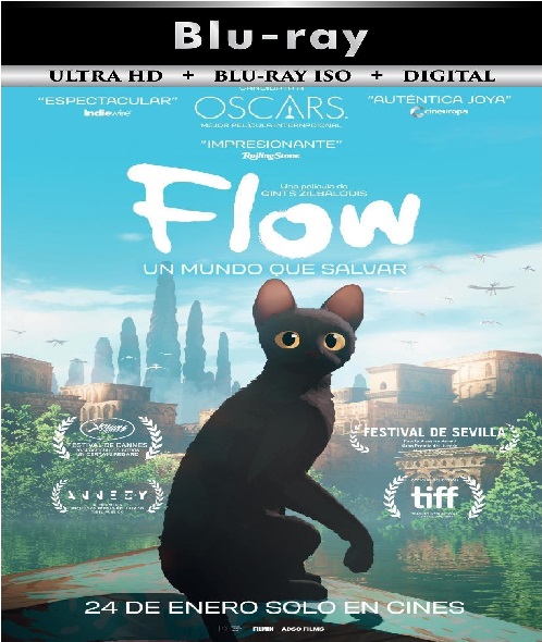 Flow