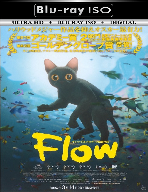 Flow