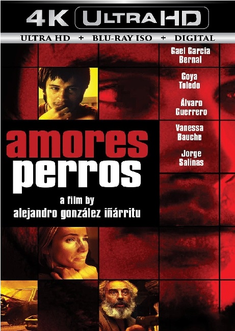 Amores Perros