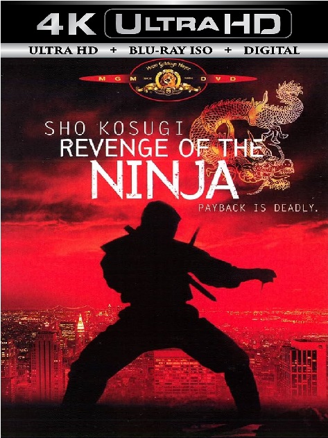 Revenge Of The Ninja