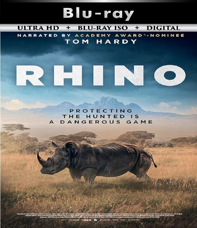 Rhino