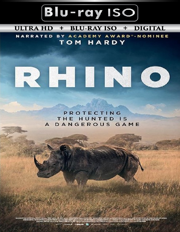Rhino
